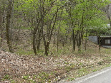 ǗꂽՐÂȗnő厩R𖞋i