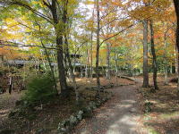 浅間神社・追分郷土館の紅葉