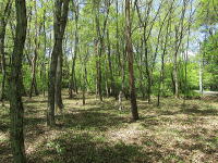 軽井沢追分土地