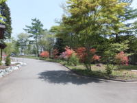 uBbWmKaruizawa Sakuragaoka Villagen/yyn/vCx[gAv[`