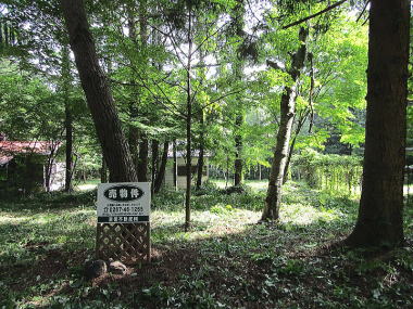 y̕sY-yn / yGA / ԃSt߂-W1000m̐ԎR[̗΂Ɉ͂܂ꂽyn