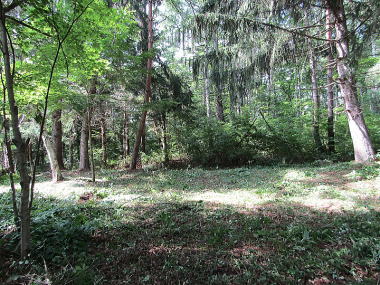 y̕sY-yn / yGA / ԃSt߂-W1000m̐ԎR[̗΂Ɉ͂܂ꂽyn