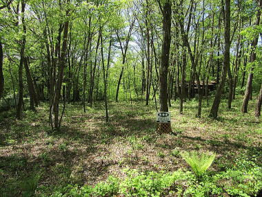 ΂Ɉ͂܂ꂽ֐̗ǂ~nB