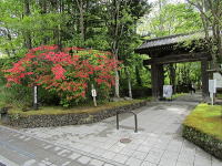 堀辰雄文学記念館-新緑&ツツジ-