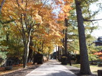 堀辰雄文学記念館の紅葉