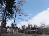 t̕~n-Ԃ̉Ԃ炢Ă܂-