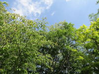 ~ñ}{EVƗאڒñAJVẢ